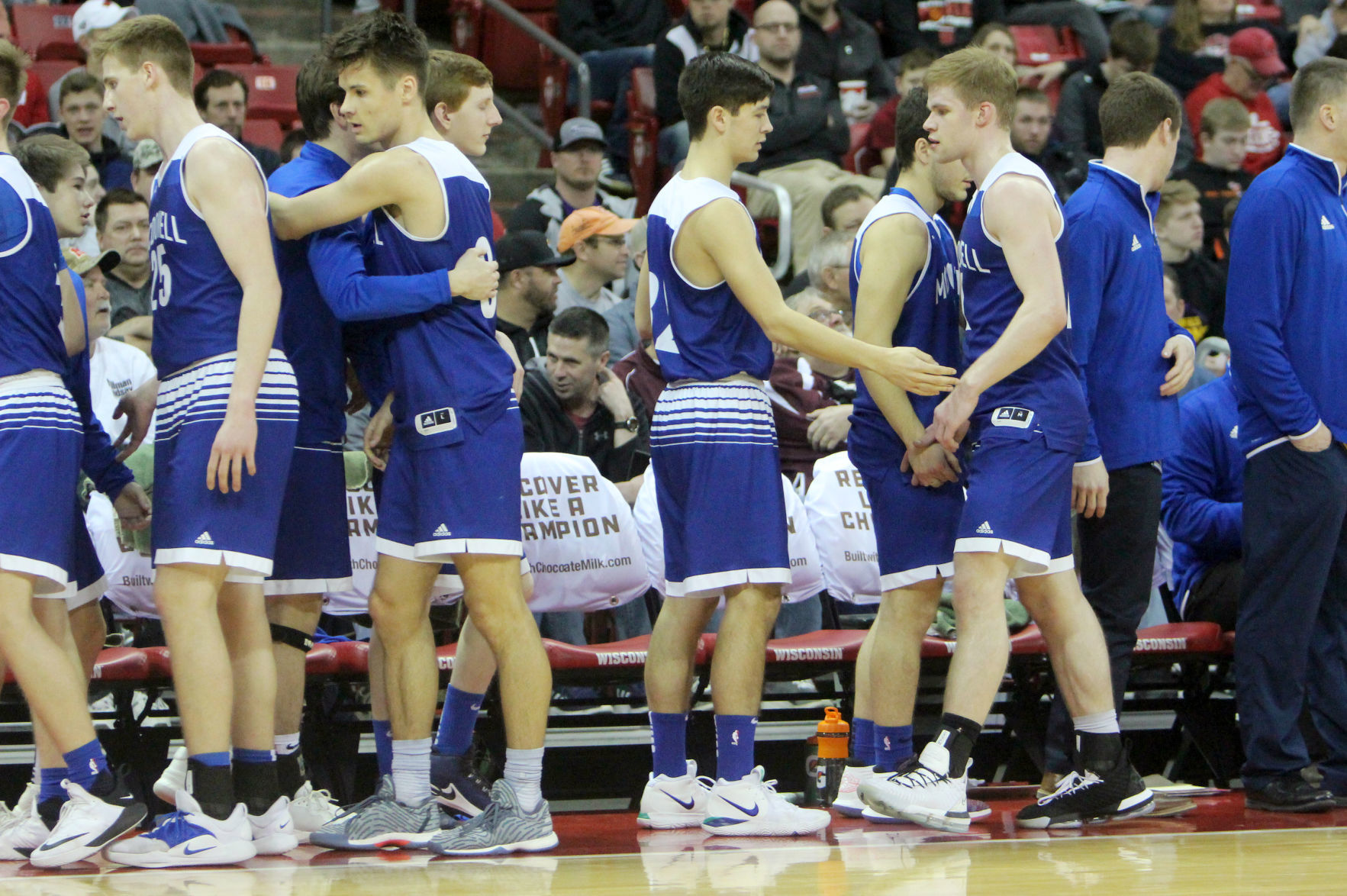 McDonell boys basketball vs Sheboygan Area Lutheran 3-15-19